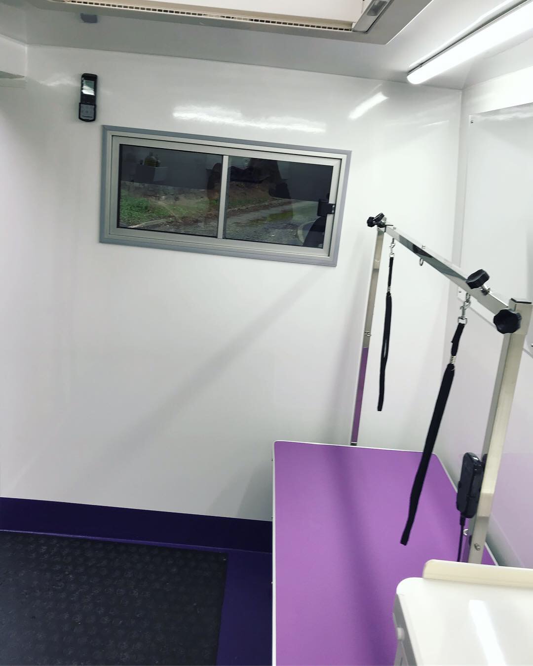 Dog Pod's professional grooming table and work area