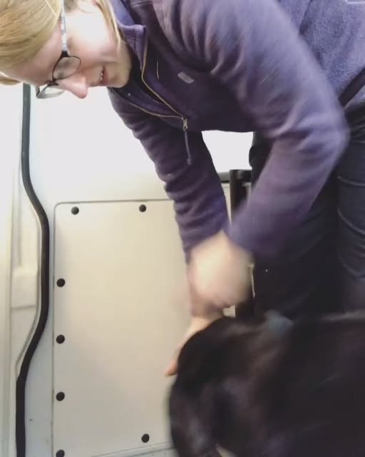 Siân grooming a dog inside the Dog Pod mobile salon